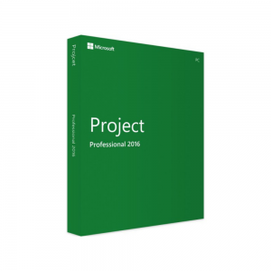 Microsoft Project 2016 Professionnel